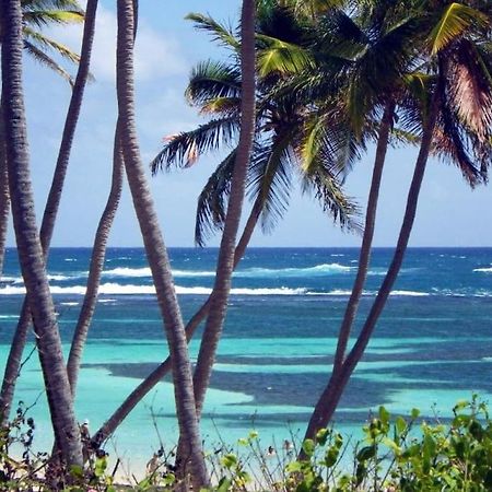 Hamo Cosy Piscine Proche Plage Sainte-Anne Exterior foto