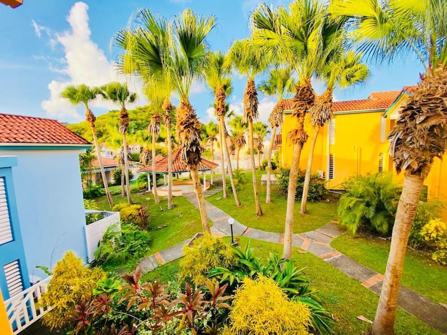 Hamo Cosy Piscine Proche Plage Sainte-Anne Exterior foto