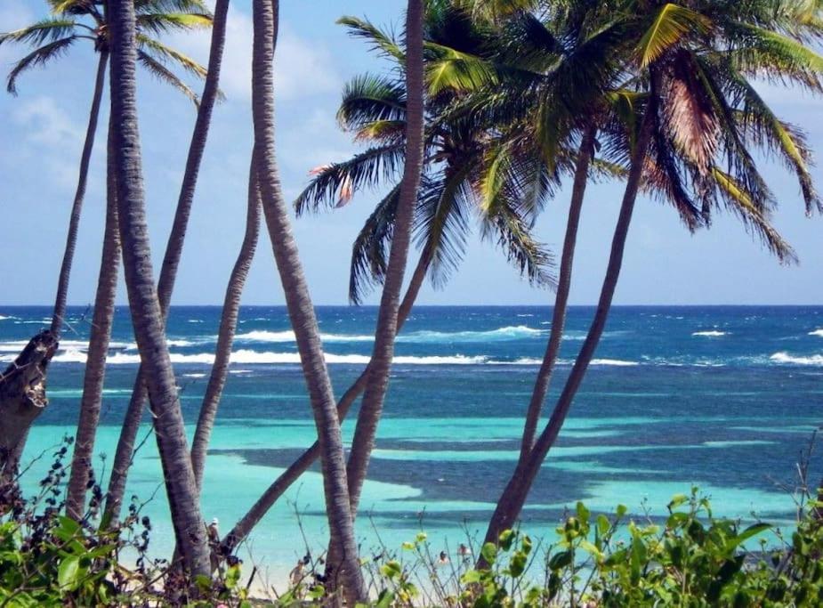 Hamo Cosy Piscine Proche Plage Sainte-Anne Exterior foto